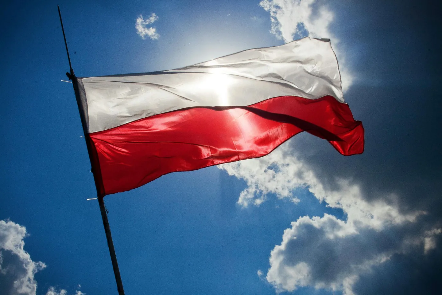 Хто може оформити Зелену карту в Польщі — інструкція для українців
