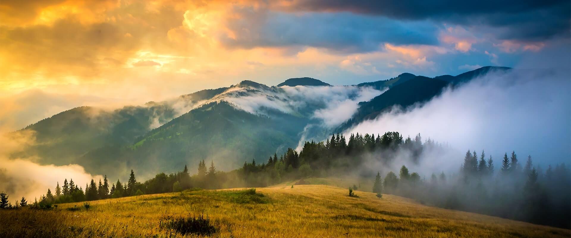 Де провести безпечний та комфортний відпочинок у Карпатах для сім’ї з дітьми